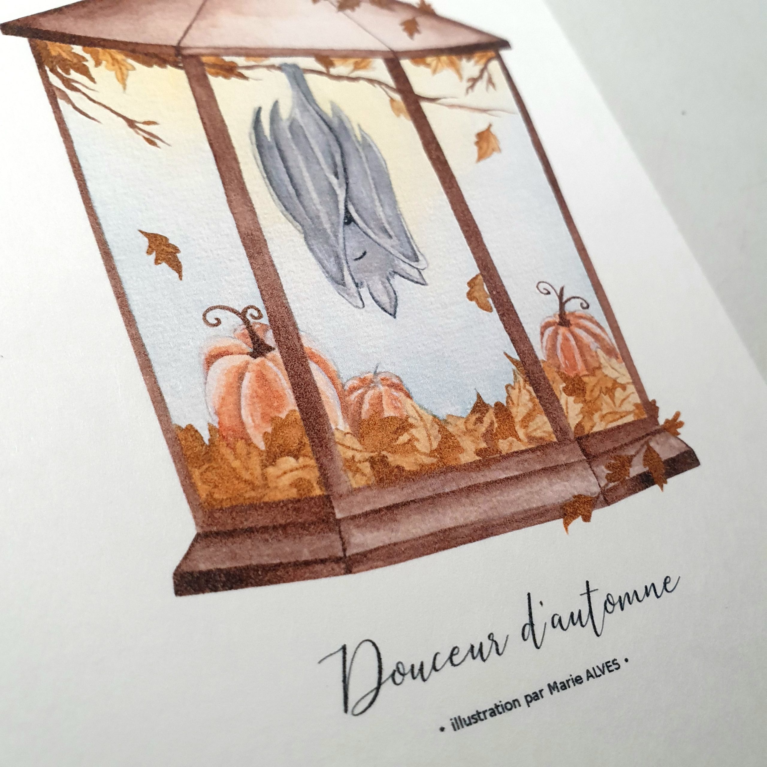 photo illustration chauve souris automne