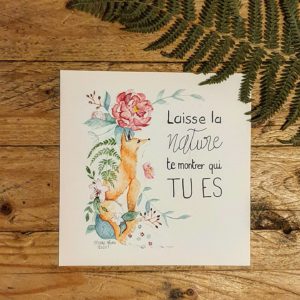 illustration laisse la nature édition positive photo