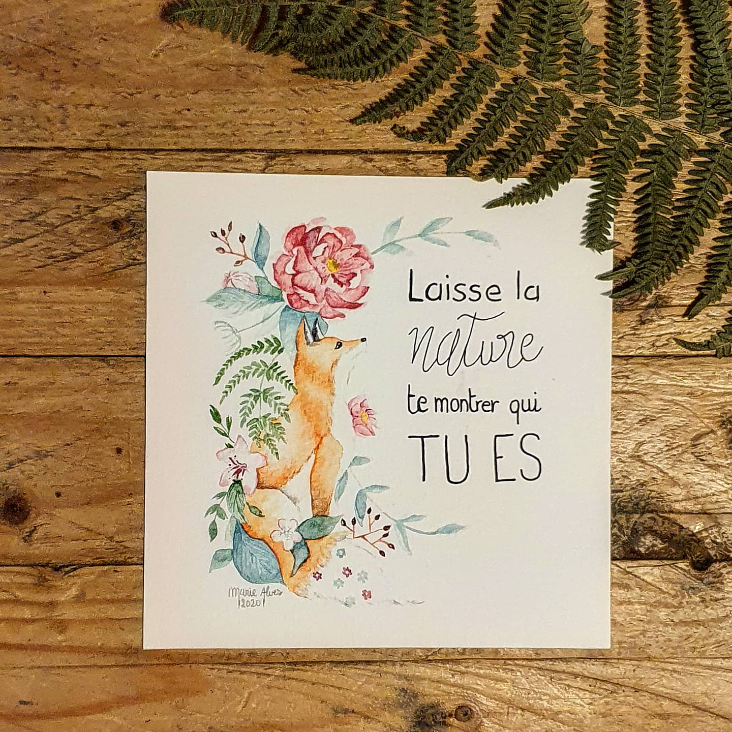 illustration laisse la nature édition positive photo