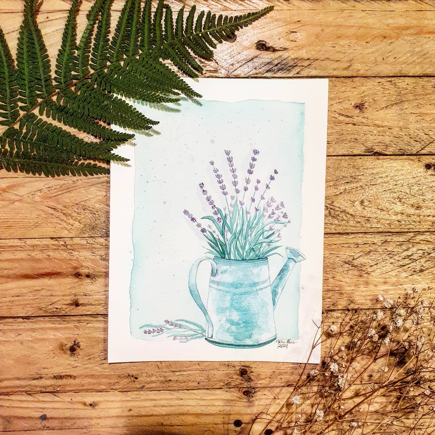 aquarelle illustration lavande édition challenge 2020 photo