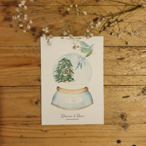 édition douceur d'hiver oiseau hivernal