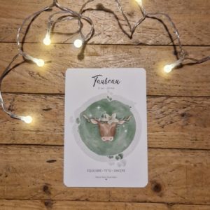 signe astrologique illustrée taureau