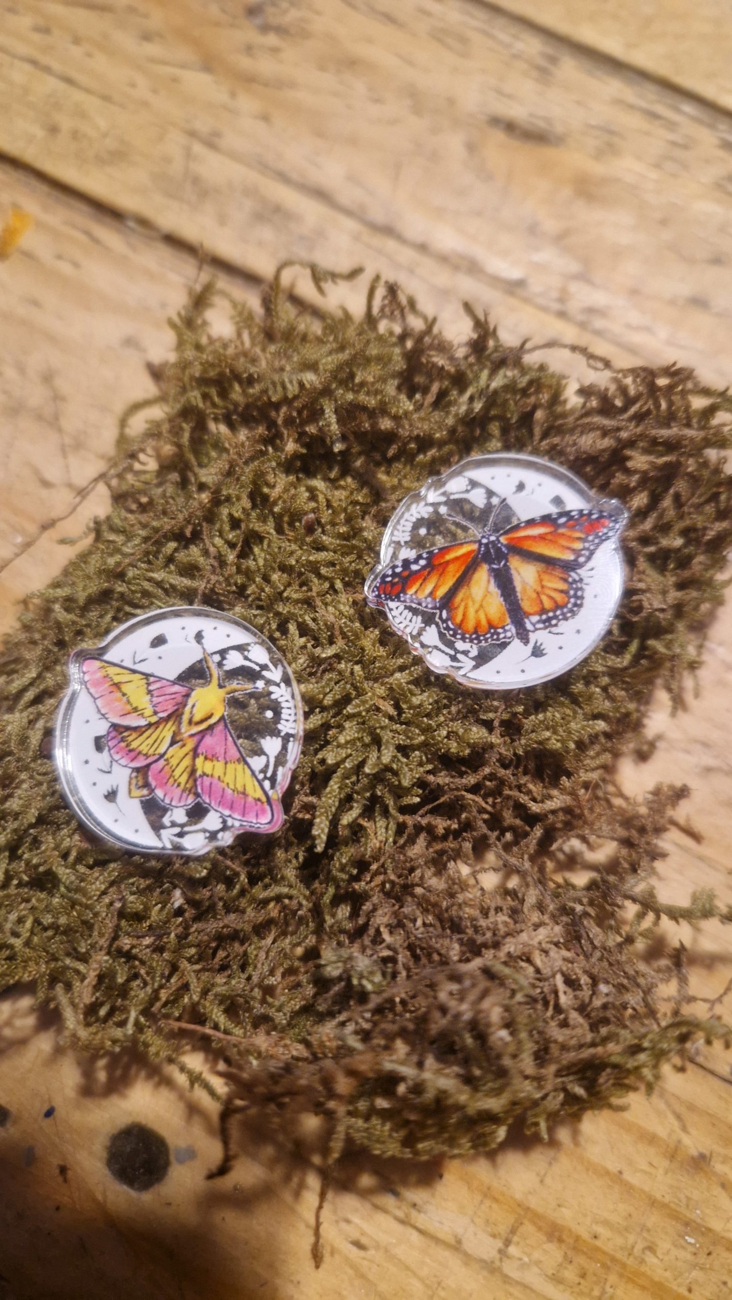 pin's papillon de jour et papillon de nuit acrylique